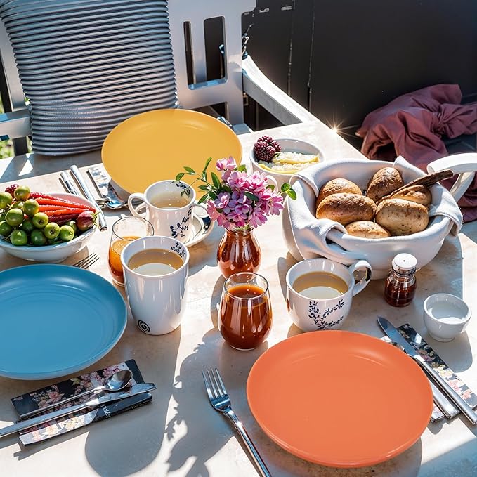 LIYH 48 Pcs Wheat Straw Dinnerware Plates and Bowls Set Dishwasher Safe Unbreakable Light Weight Plates Service for 12 Reusable Multicolor Dinnerware Set Dish Sets 24 Plate 12 Bowl 12 Cup