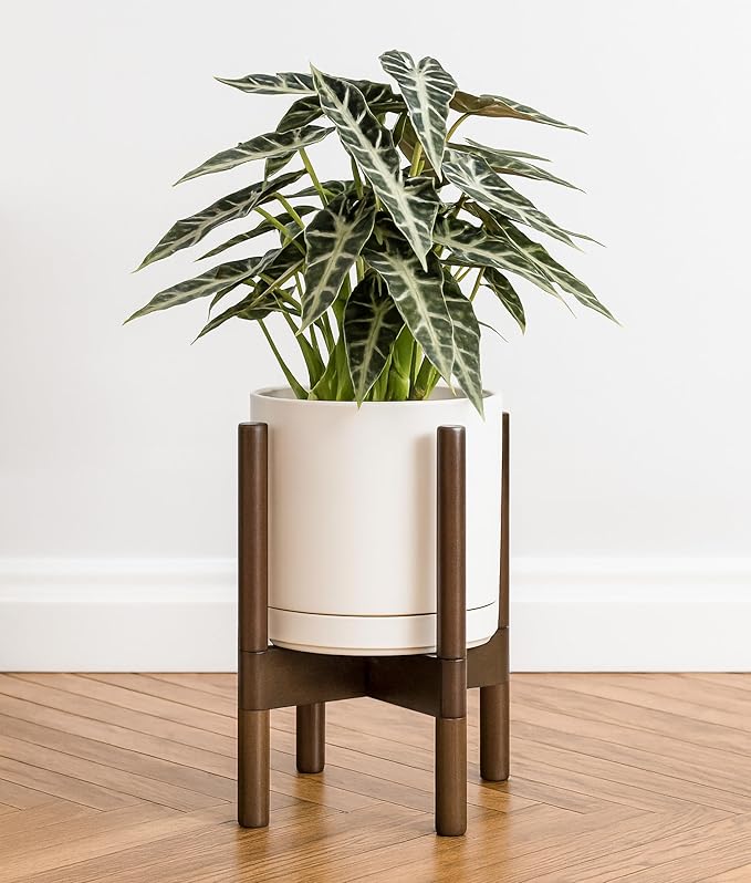 D'vine Dev Ceramic Planter with Walnut Color Stand - 8 Inch Modern Round Flower Pot with Wood Planter Holder, Oatmeal, 55-B-Y-8