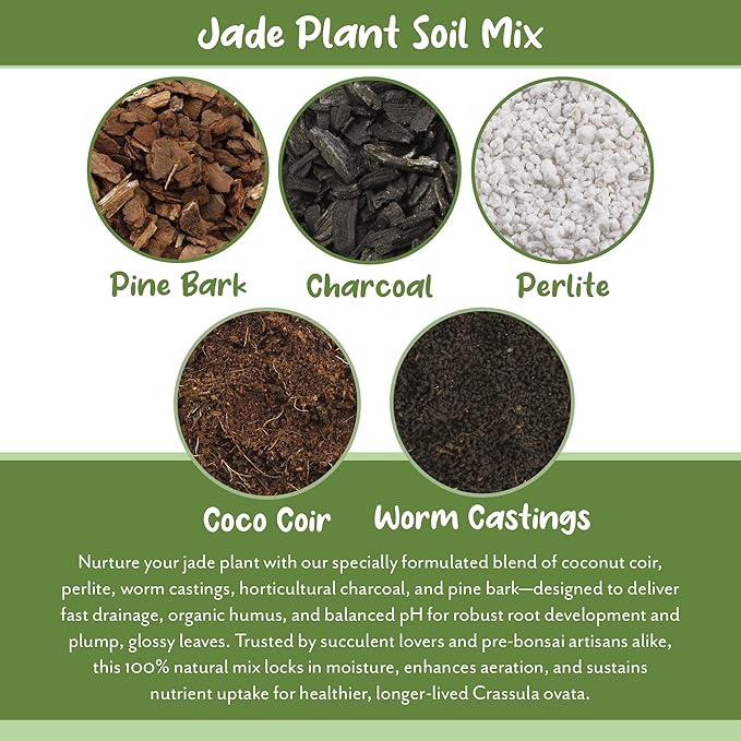 Jade Plant Potting Soil Mix (8 Quarts), Hand Blended Additive for Jade Succulents