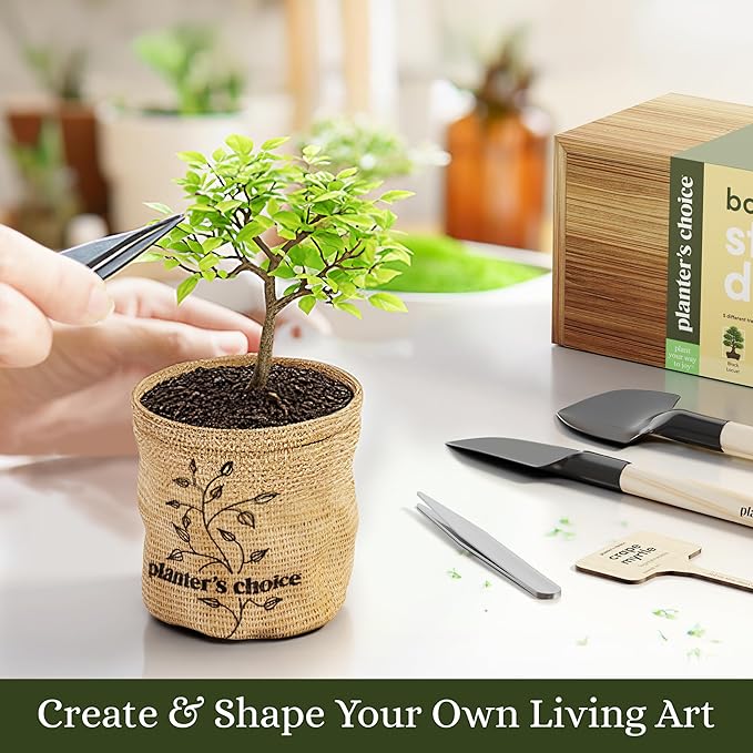 Planter's Choice Bonsai Tree Starter Kit - Unique Gifts for Women, Men - Christmas Gifts for Adults - Indoor Live House Plants - DIY Crafts for Adults Craft Kits - Hobby Gift for Gardening Lovers