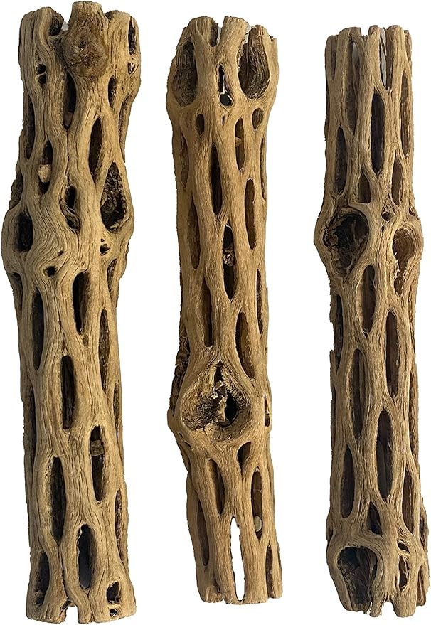 Awesome Aquatic Natural Cholla/Choya Wood 3 Pieces 6” for Shrimp Habitat and Food Treat Hermit Crabs Plecos Aquarium Decoration Lowers pH Hideouts and Chew Toys Reptiles Thorn Free Dried Organic