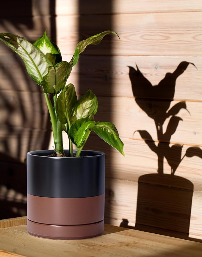 D'vine Dev 4.7 Inch & 6.5 Inch Ceramic Planter Pots for Plants with Drainage Hole and Saucer, Small Plant Pots Set, Black/Speckled Tan, 94-G-S-7