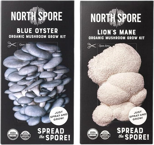 (2-Pack) North Spore Organic Blue Oyster & Lion's Mane Mushroom Spray & Grow Kits (4 lbs each) | USDA-Certified Organic, Non-GMO, Beginner-Friendly & Easy to Use | Handmade in Maine, USA