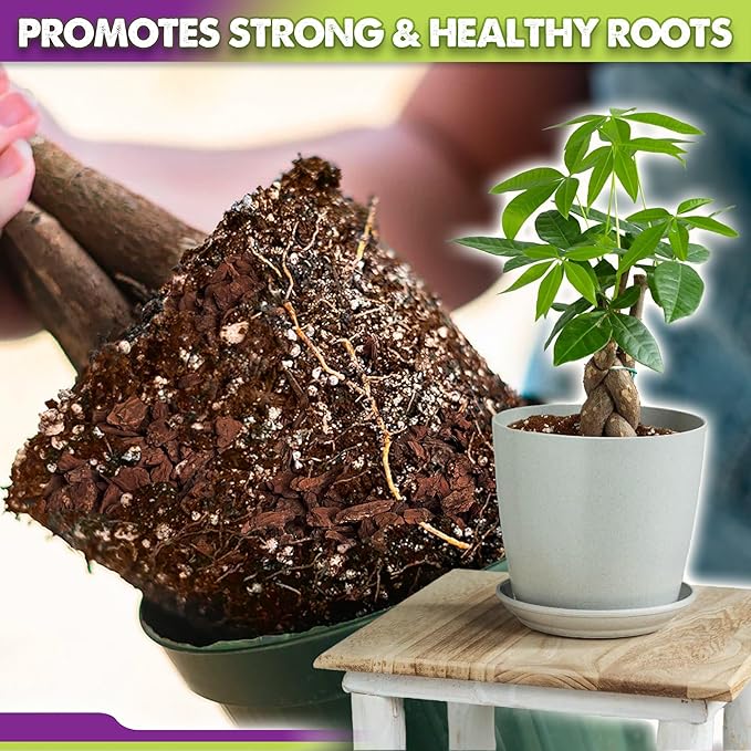 DUSPRO Recycle Money Tree Soil Indoor, Premium Coco Coir Perlite Mix and Pine Bark for Money Tree, Ideal Money Tree Soil for Healthy Growth and Nourishment (4 Quarts)