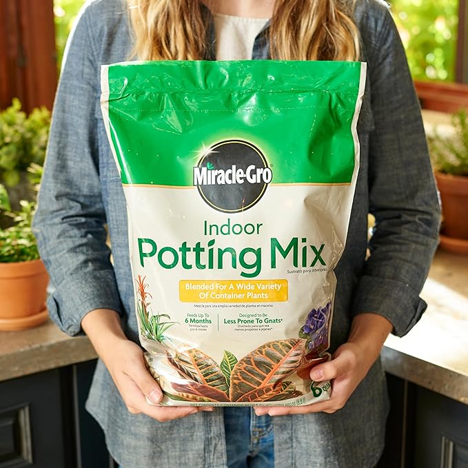 Miracle-Gro Indoor Potting Mix, Blended for a Variety of Houseplants, Feeds for up to 6 Months, 6 qt., 2-Pack