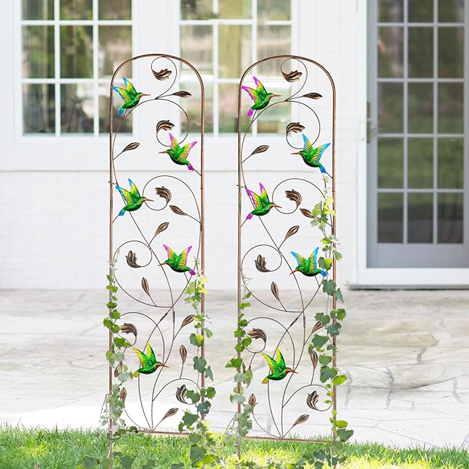 LEWIS&WAYNE 2 Pack Metal Garden Trellis with Colorful Hummingbird 60 Inch High Outdoor Decoration Arched Fence Trellis for Climbing Plants for Patio, Lawn, Yard, Backyard, Wall Brackets