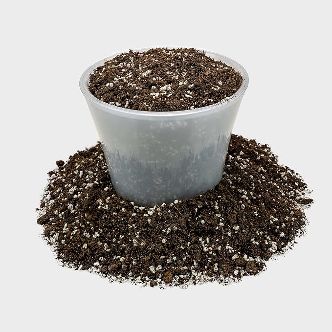 Gardenera Premium Organic Potting Soil, Succulent & Cactus Soil Mix, Fast Draining Pre-Mixed Blend - Horticultural Perlite (25%) + Peat Moss (75%) - Made in USA - 2 Quart