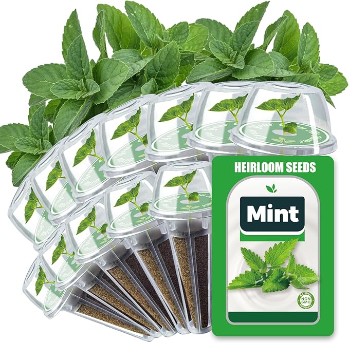 Mint Seed Pods for All Hydroponics Growing Systems, 12 Pods Herb Kit with Seeds of Peppermint, Grow Your Own Herb Garden at Home