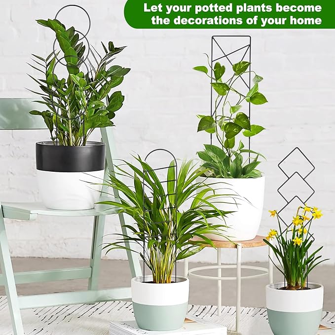 Outdoor Plant Trellis for Climbing Plants, Metal Garden Trellis for Potted Plants,Plant Stakes for Indoor Plants Accessories Hoya,Flower,Plant Support,Plant Gifts (4PCS)