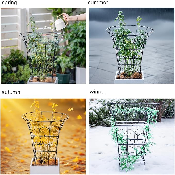 COOOXIM Peony Cages & Supports - Metal Plant Obelisk Trellis for Outdoor Use, 27.5 x 22 Inches, Perfect for Peonies, Roses, and Climbing Vines - Durable Garden Support Ring in M Shape