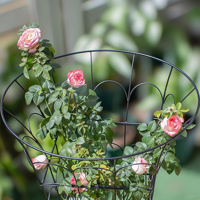 COOOXIM Peony Cages & Supports - Metal Plant Obelisk Trellis for Outdoor Use, 27.5 x 22 Inches, Perfect for Peonies, Roses, and Climbing Vines - Durable Garden Support Ring in M Shape