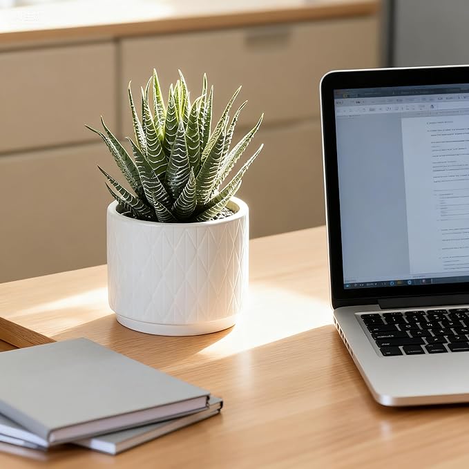 Kurrajong Farmhouse Artificial Succulent Plant in Matte White Ceramic Pot | Dark Green Aloe Plant | Great as Desk Decor or Bathroom Decor | Beautiful Realistic Faux Succulent with no Maintenance