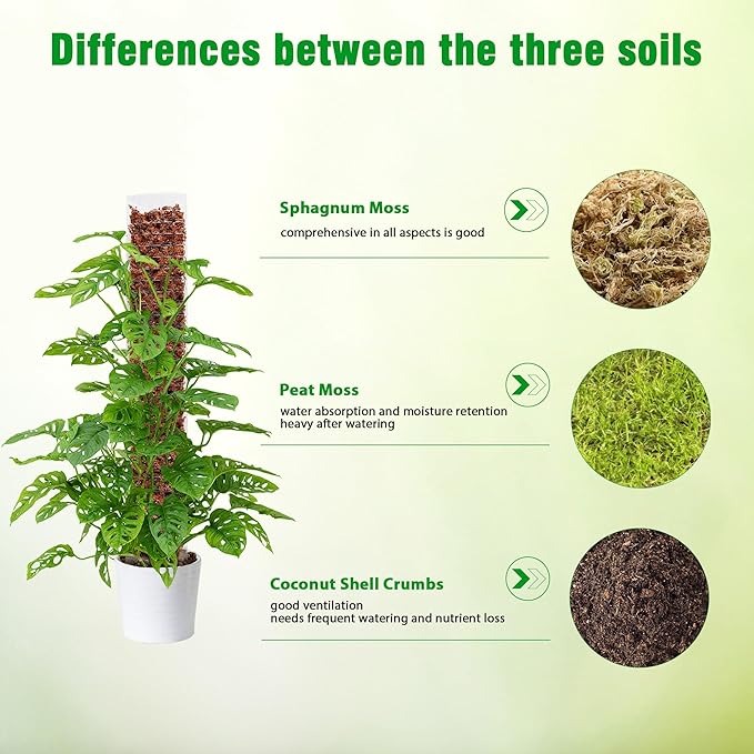 Bonviee 2 Pcs 15 Inch + 2 Pcs 24 Inch Plastic Moss Poles for Monstera – D-Shaped Plant Support for Climbing Vines, Compatible with Sphagnum Moss, Includes 2 Garden Ties