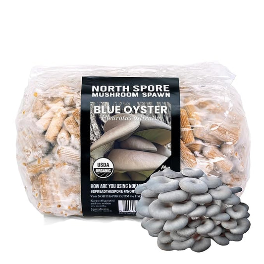 North Spore Organic Blue Oyster (500 ct) Mushroom Plugs for Logs | Premium Quality Mushroom Plug Spawn | Handmade in Maine, USA | Grow Gourmet Mushrooms Outdoors on Logs | Pleurotus ostreatus