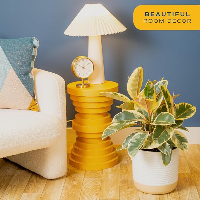 Costa Farms Ficus Live Plant | Beautiful Potted Houseplant in 10-Inch Decorative Plant Pot | 22-40 Inches Tall, Grower's Choice Variety | Potting Soil | Garden or Birthday Gift | Room and Home Decor