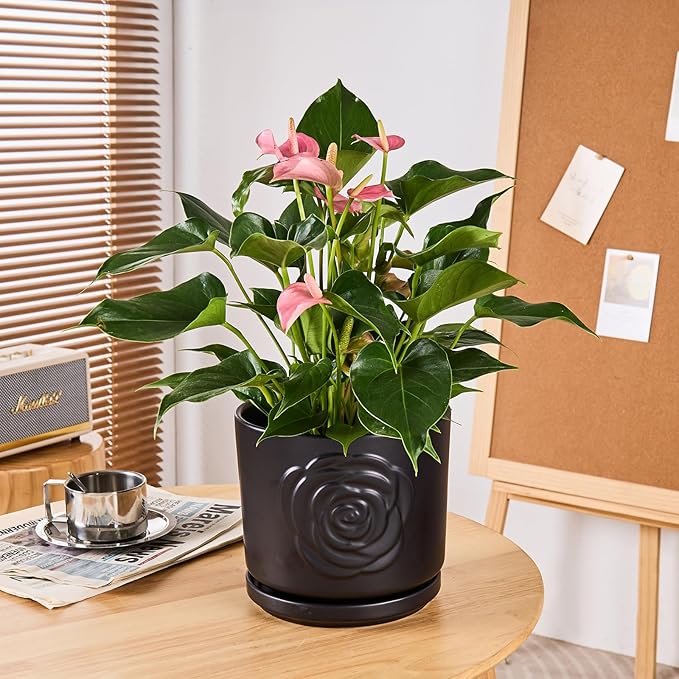 Ekirlin 7 Inch Plant Pots, Ceramic Rose Flower Planters Indoor, Modern Succulents Containers with Drain Hole Saucer, Weatherproof Pot for Home Decorate, Outdoor & Garden (Black)