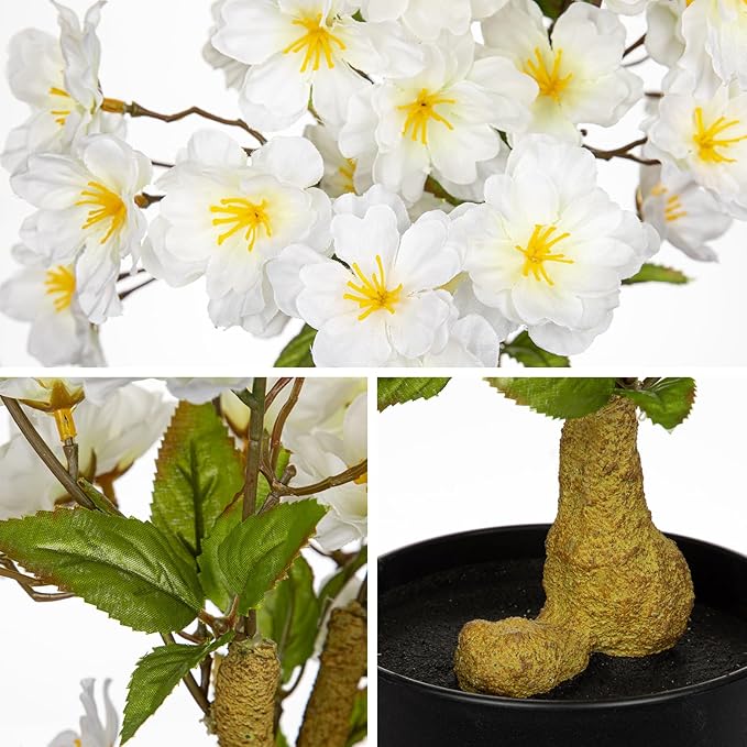 DILATATA Faux Cherry Blossom Bonsai Tree 16 inch Small Artificial Bonsai Tree for Home Decor White Apple Blossom Tree for Indoor Bookshelf Office Desk Bathroom Decor