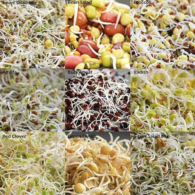 Organic Sprouting Seed Mix – 2.5 lb – 10 Varieties: Alfalfa, Mung Bean, Broccoli, Lentil, Clover, Buckwheat, Radish, Bean Salad, More