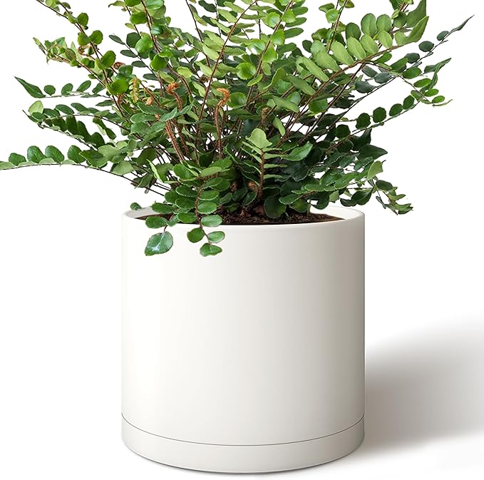 Giraffe Creation 10-Inch Round Cylinder Plant Pot, Modern Indoor/Outdoor Planter with Drainage Hole, Saucer & Water Reservoir, White