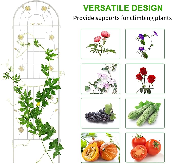 LZRS 2 Pack 71x20in Rustic Iron Arch Decoration Garden Trellis with Black Metal Coating – Perfect for Supporting Climbing Plants Outdoor, Roses, Vines, Flowers, and Vegetables.