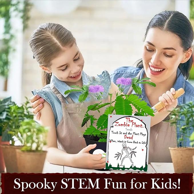 Zombie Plant Seed Packets – Grow a Live Sensitive Plant That Plays Dead When Touched! Indoor Plant Seeds & Educational STEM Activity | House Plant Seeds | Unique Garden Seeds – 2 Pack