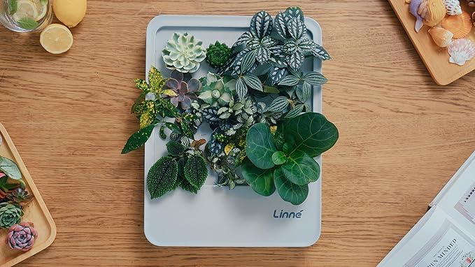 Indoor Garden Hydroponic System with LED Grow Light Indoor herb Garden, Indoor Garden Hydroponic System with LED Grow Light (Gery)