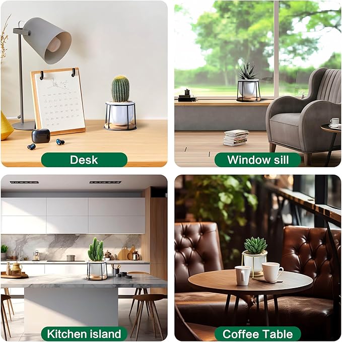 Floating Style Small Succulent Pots-3.7 Inch with Drainage and Tray, Cactus Pot, White Modern Indoor Ceramic Plant Pots (White 2)