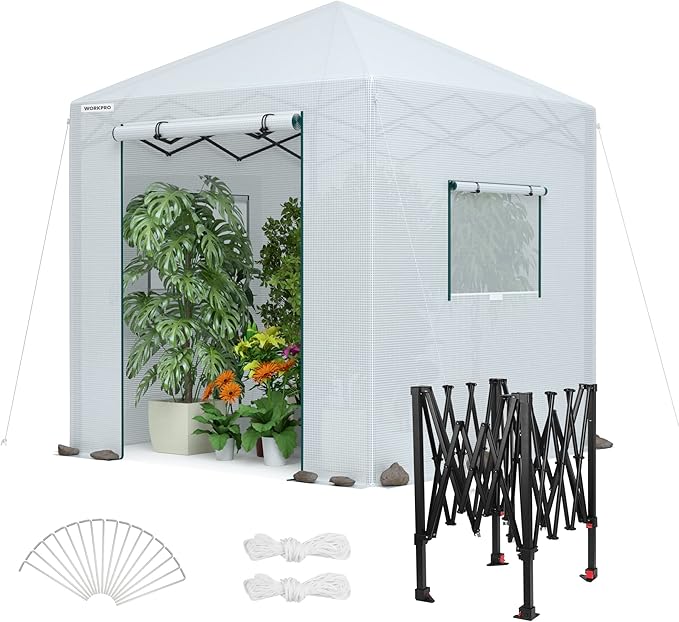 WORKPRO Greenhouse, 94”x 94”x 99” Pop-up Greenhouse for Outdoors , Heavy Duty Gardening House with Sturdy PE Cover, Roll-up Entry Doors and 2 Screen Windows, for Patio, Backyard, Balcony