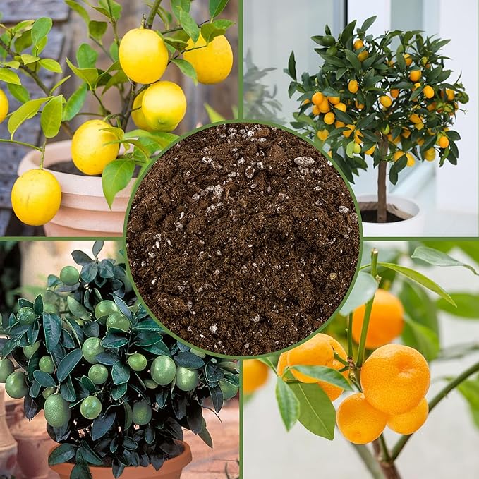 Citrus Tree Potting Soil Mix (30 Quarts), Special Blend for Indoor Oranges, Lemons, Limes and More