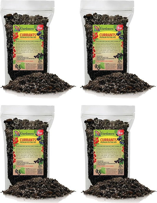 Gardenera Premium Currant Plant Potting Soil Mix - Optimal Nutrient-Rich Blend for Thriving and Juicy Currants - 20 Quart
