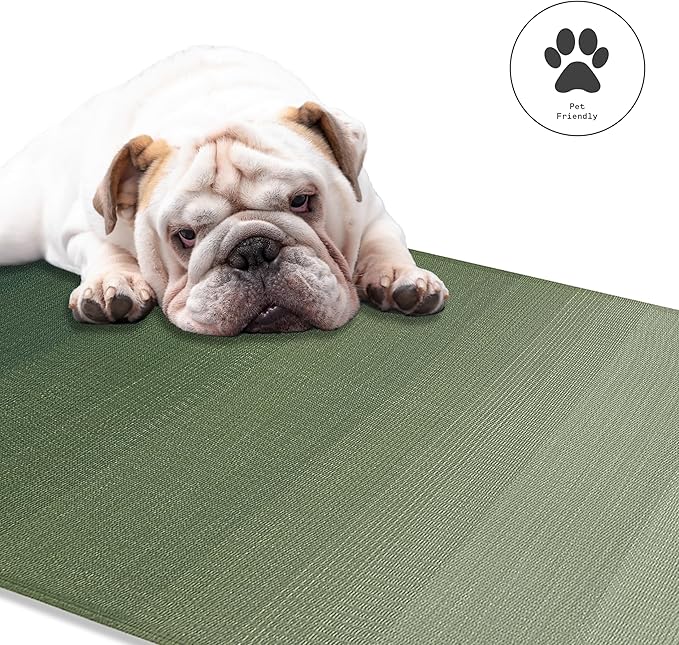 Fab Habitat Ombre Outdoor Rug - Waterproof, Fade Resistant, Crease-Free - Premium Recycled Plastic - Striped - Patio, Porch, Deck, Balcony - Big Sur - Green - 8 x 10 ft