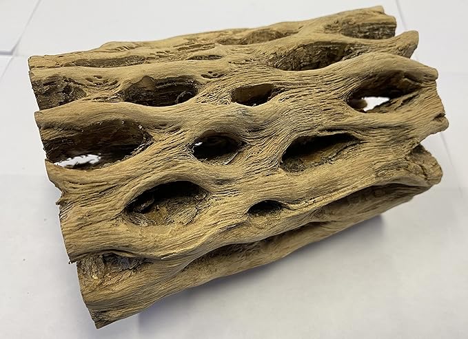 Awesome Aquatic 6 in x 2-3” Thick XL Teddy Bear/Chain Fruit/Buckhorn/Staghorn Cholla Wood Hollow Tube Wood Cactus Skeleton Tubes Thick/Diameter (6 in x 2-3 in Diameter)