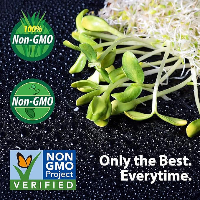 Strawberry Clover - 1 OZ ~16,000 Seeds - Hay, Silage, Green Manure or Farm & Garden Cover Crops - Attracts Pollinators