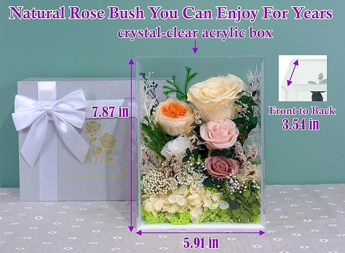 Valley of Rain & Forest Long-Lasting Real Flowers, Handcrafted Preserved Rose Bush For you to Send Love for All Occasions, Floral Arrangement for Indoor Decoration (Yellow Champagne Rose)