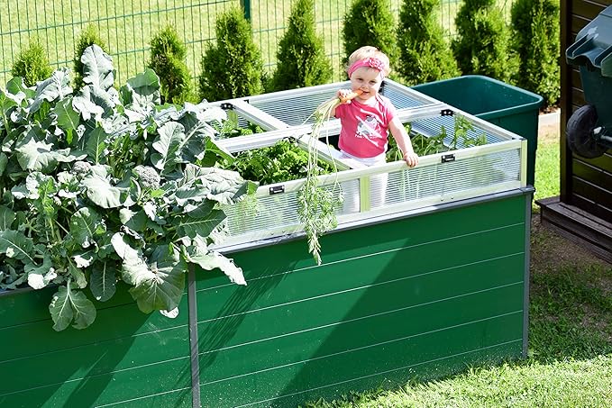 Christina 2.5 ft Tall Raised Garden Bed (3.9'W x 4.9'L), Anodized Aluminum