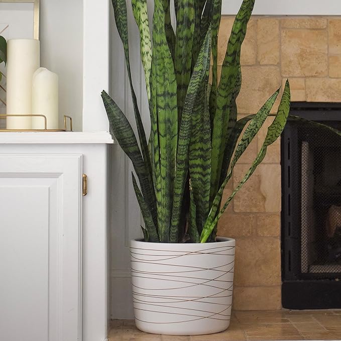 Willowy 12 Inch Ceramic Pot - Slightly Tapered Matte White with Metallic Gold Stripes - Drainage Plug Included