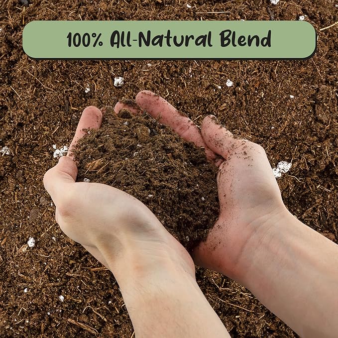 Monstera Houseplant Potting Soil Mix (8 Quarts), Custom Blend for Growing and Repotting