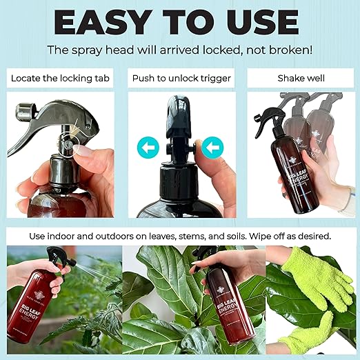 Big Leaf Energy (16 FL OZ) Organic Neem Oil Spray for Plants + Essential Oils : Ready to Use Plant Wash for Indoor Houseplants & Outdoor Gardens, Natural Leaf Shine