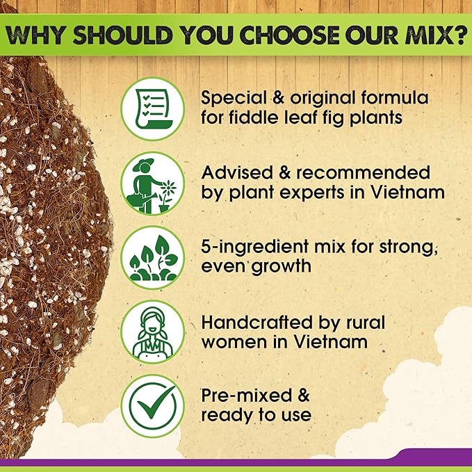 DUSPRO Recycle Fiddle Leaf Fig Soil Specialized for Fiddle Leaf Fig Plant Indoor 5-in-1 Pre-Mixed with Coco Coir, Coconut Fiber, Perlite, Pumice, Pine Bark Ready-to-Use Handmade Mix Drainage 10 QRT