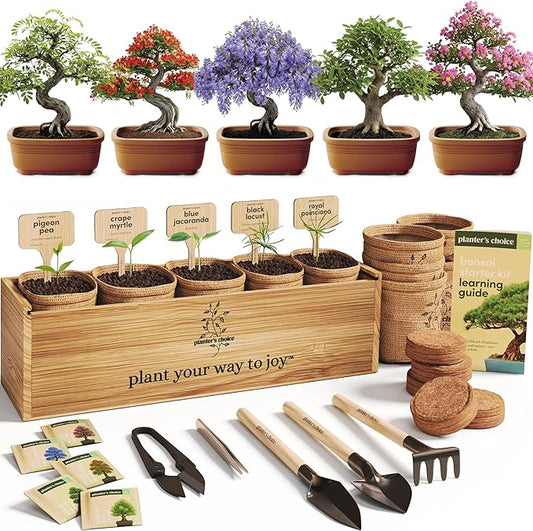 Planter's Choice Bonsai Tree Starter Kit - Unique Gifts for Women, Men - Christmas Gifts for Adults - Indoor Live House Plants - DIY Crafts for Adults Craft Kits - Hobby Gift for Gardening Lovers