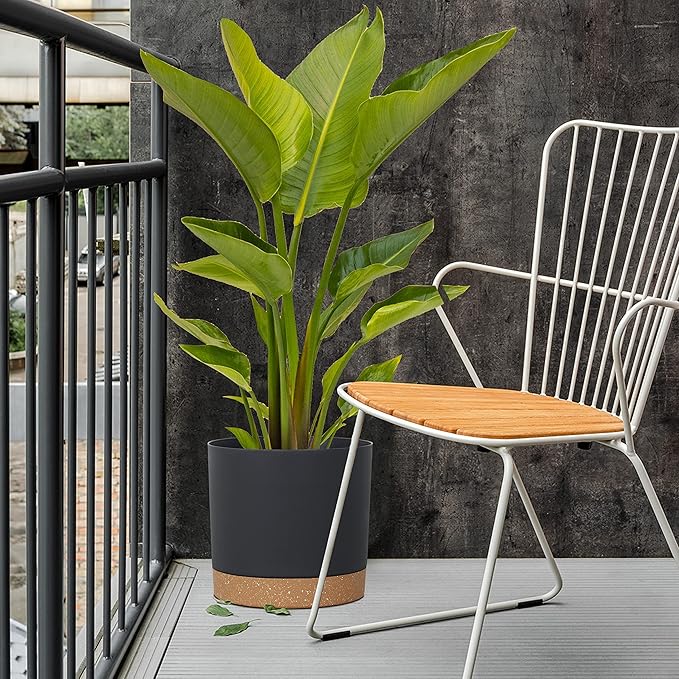 kubvici Plant Pots for Indoor Plants, 2 Pack 12 Inch Pots for Plants, Lightweight Large Planters for Indoor Outdoor, Big Plastic Black Pot Flower Pot with Drainage (12” Black)