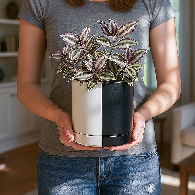 D'vine Dev 6.5 Inch Ceramic Planter Pot with Drainage Hole and Saucer, Indoor Cylinder Round Planter Pot, Split Monochrome Black & White, 94-O-C-0