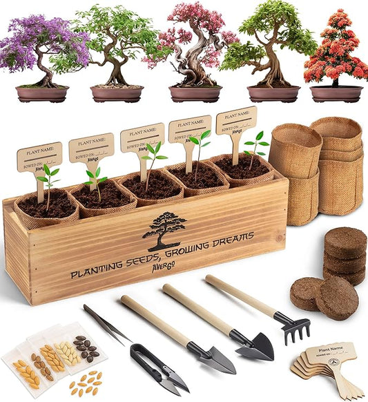 AVERGO Bonsai Tree Kit for Beginners – 5X Unique Japanese Bonzai Trees | Complete Indoor Starter Kit for Growing Bonsai Plants with Tools & Planters – Gardening Gifts for Women & Men