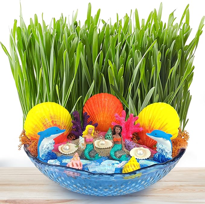 BLOONSY Mermaid Fairy Garden Kit for Kids | Light Up Terrarium Kit | Mermaid Gifts Toys for Girls | Science STEM Arts and Crafts Activities for Little Girls Age 8-12