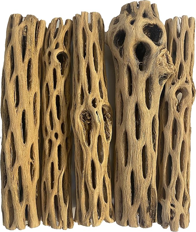 Awesome Aquatic Natural Cholla Choya Wood 5 Pieces 6” for Shrimp Habitat and Food Treat Hermit Crabs Plecos Aquarium Decoration Lowers pH Hideouts and Chew Toys Reptiles Thorn Free Dried Organic