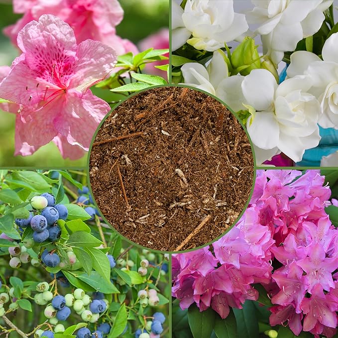 Acid Loving Plant Potting Soil Mix (12 Quarts), Premium Container Blend pH Balanced for Azaleas, Rhododendrons, Blueberries and More