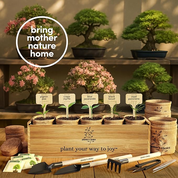 Planter's Choice Bonsai Tree Starter Kit - Unique Gifts for Women, Men - Christmas Gifts for Adults - Indoor Live House Plants - DIY Crafts for Adults Craft Kits - Hobby Gift for Gardening Lovers
