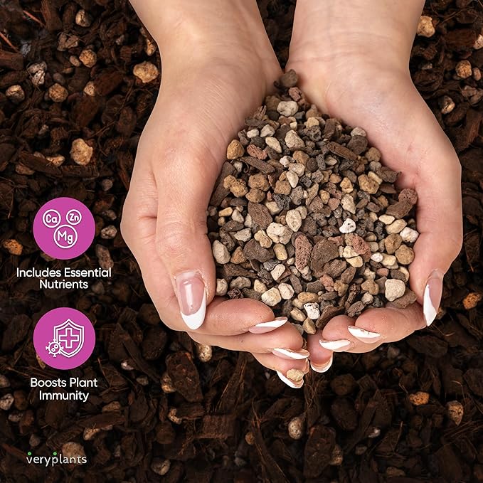 Molly's Succulent Mix - Premium Gritty Soilless Potting Mix for Succulents, Cactus and Bonsai - Contains Akadama, Hyuga, Bark Fines, Pumice, Lava Rock, Mycorrhizae 3 Dry Quarts