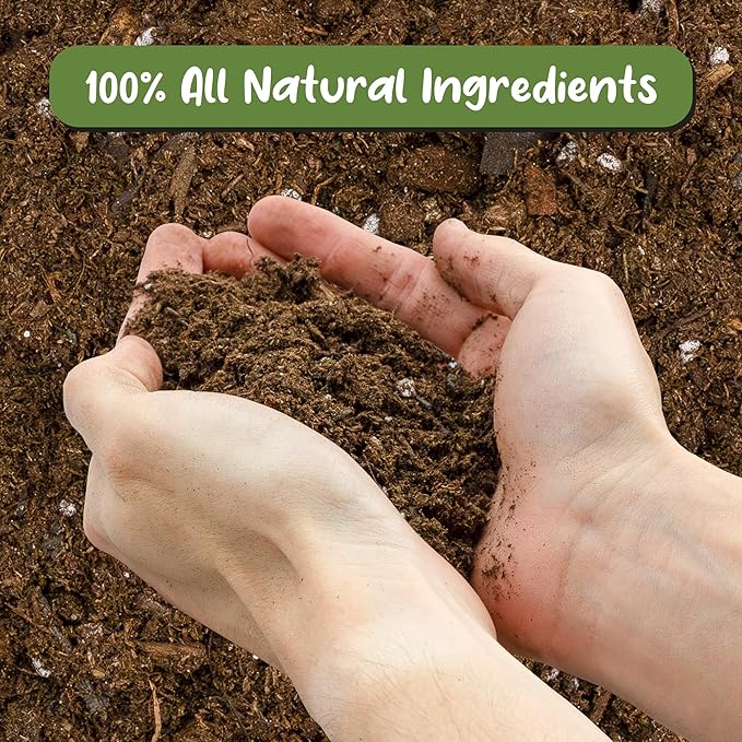 Anthurium Plant Potting Soil Mix (8 Quarts), Indoor Houseplant Custom Blend for Flowering Anthuriums