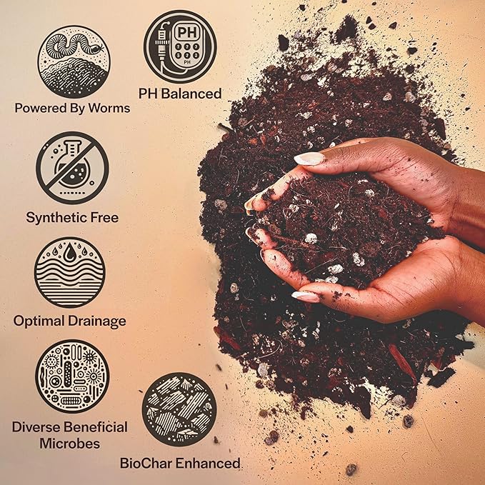 Craft Aroid Potting Mix- Elite Alocasia, Philodendron, Monstera Soil Mix, Chunky, Well Draining Potting Soil for Indoor Plants, All Tropical Plants & Houseplants, Synthetic & Peat Free 2QT